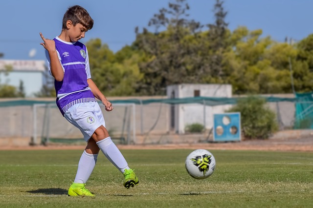 上海申花作 上海申花作