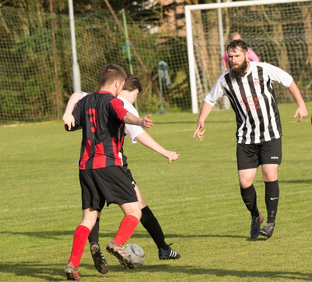 领导能力 领导能力