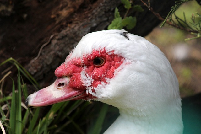 须深入思考 须深入思考