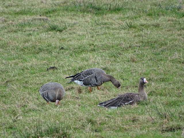 记三分刷新 记三分刷新