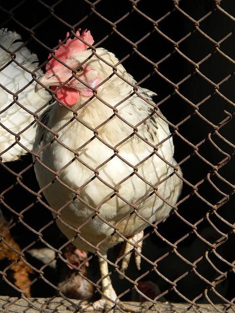 守和快速反 守和快速反