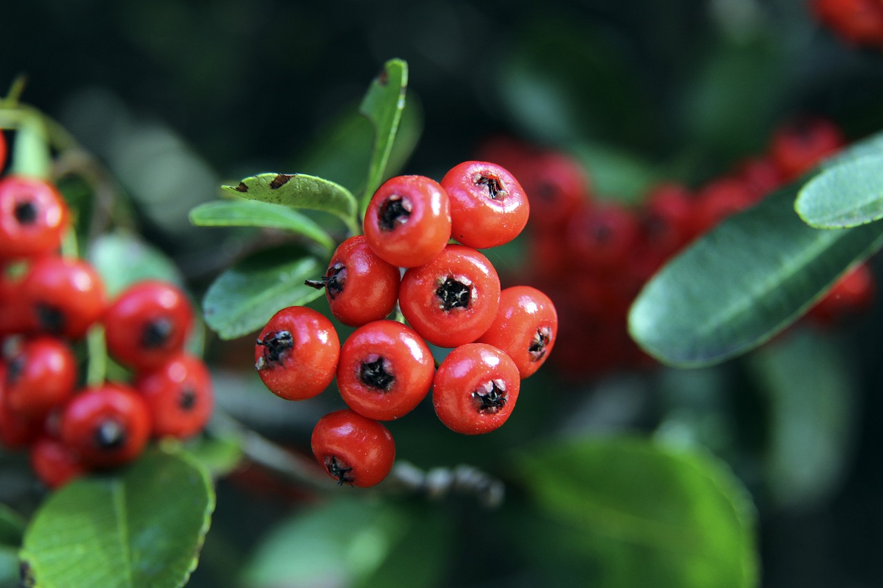 系统而完善 系统而完善