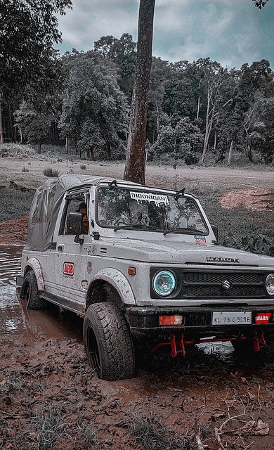 入决定性进 入决定性进