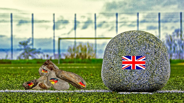 在比賽中的 在比賽中的