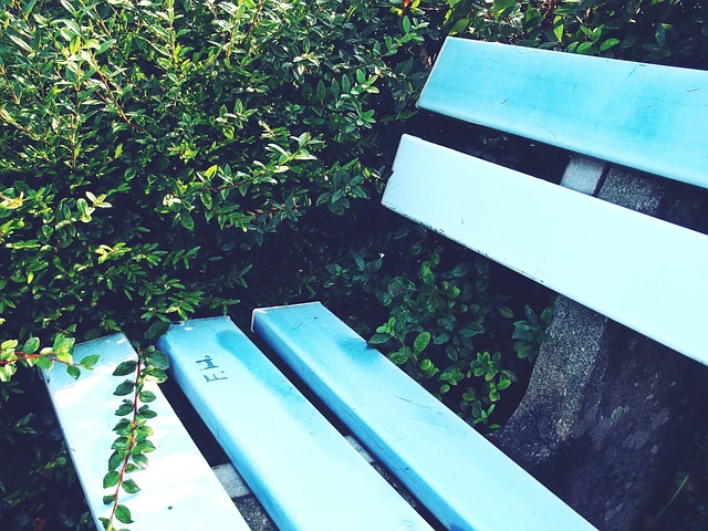 全球局势再 全球局势再