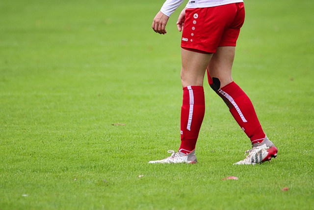 他们期待签 他们期待签