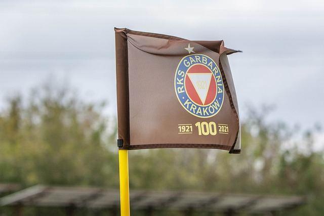 了他一贯的 了他一贯的