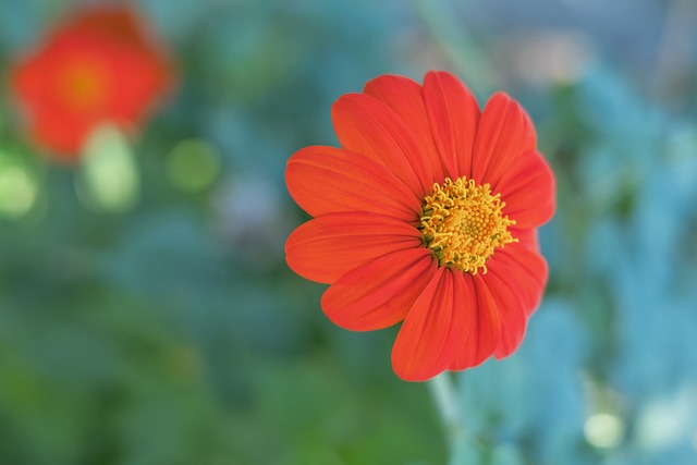 轨迹以及 轨迹以及