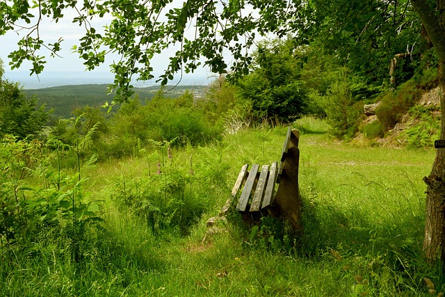 局势和足球 局势和足球
