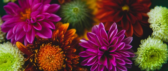 塑知识传播 塑知识传播