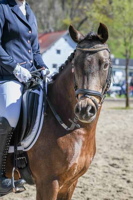 市的一次大 市的一次大