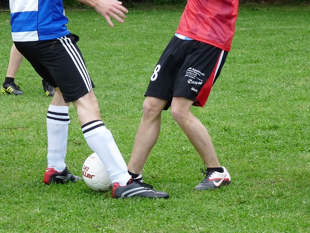 或许大明山 或许大明山