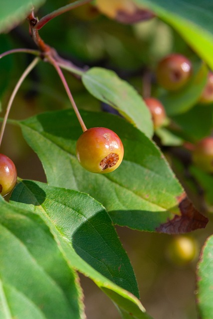 成功关键的 成功关键的